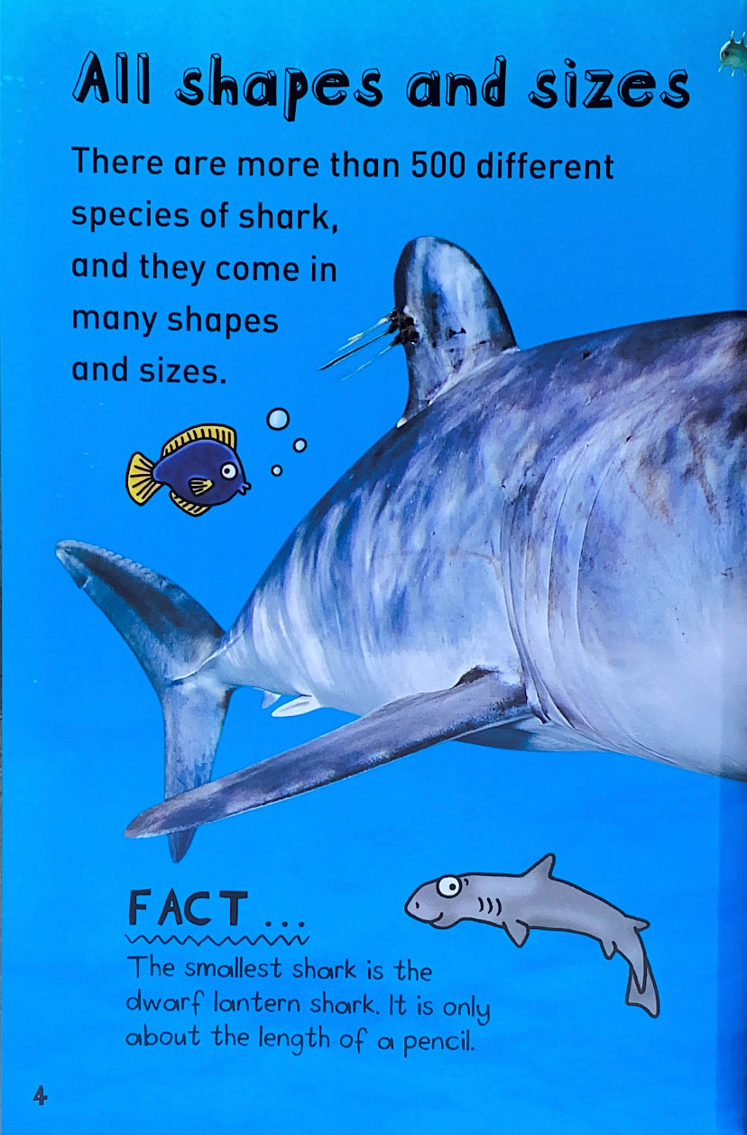 It's All About... Snappy Sharks