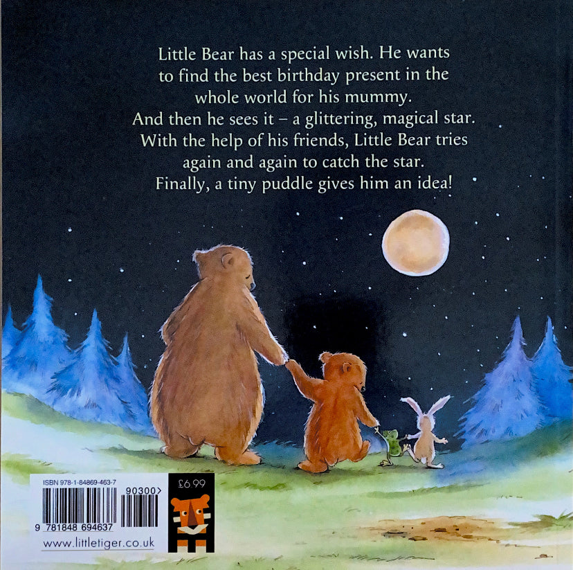 Little Bear's Special Wish