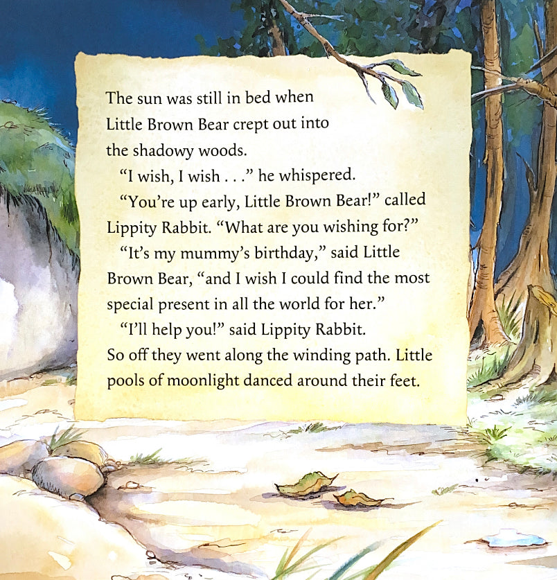 Little Bear's Special Wish