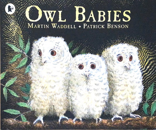 Owl Babies